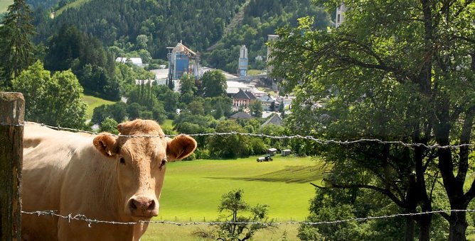 Mehr recyceln, Natur schonen (Foto: Hochschule Nordhausen)