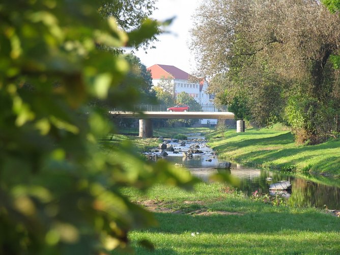 Die Zorgeauen sollen sauber werden (Foto: Pressestelle Stadt Nordhausen) Die Zorgeauen sollen sauber werden (Foto: Pressestelle Stadt Nordhausen)