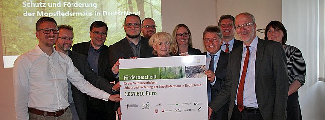 Mittel zum Schutz der Mopsfledermaus (Foto: Karl-Heinz Herrmann)