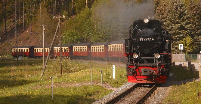 Bei Netzkater (Foto: Bernd Thielbeer)