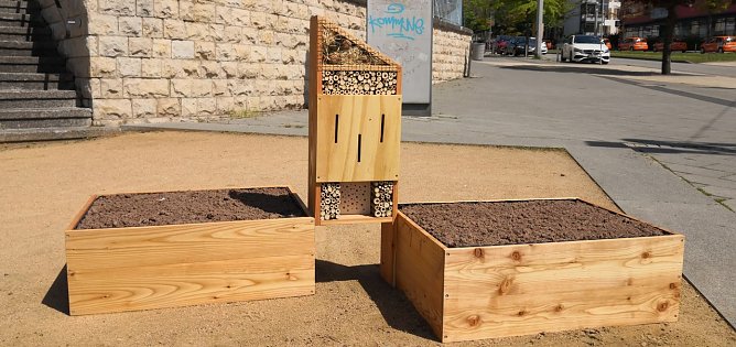 Blumenhochbeet-Insektenhotel-Kombination am Lesser-Platz (Foto: nnz)