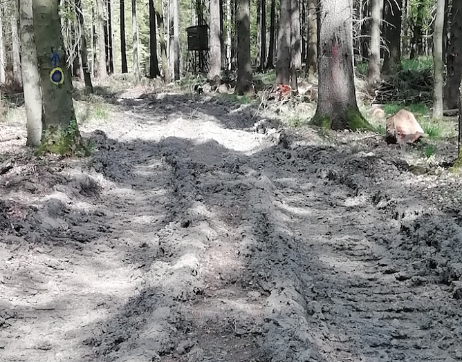 Zustand Alt (Foto: Wolfgang J&ouml;rgens)