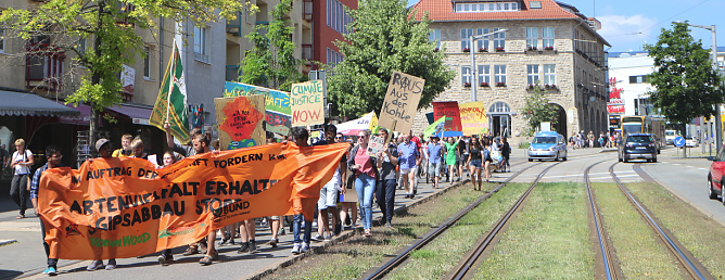 Fridays for Future Demonstration in Nordhausen (Foto: Angelo Glashagel)