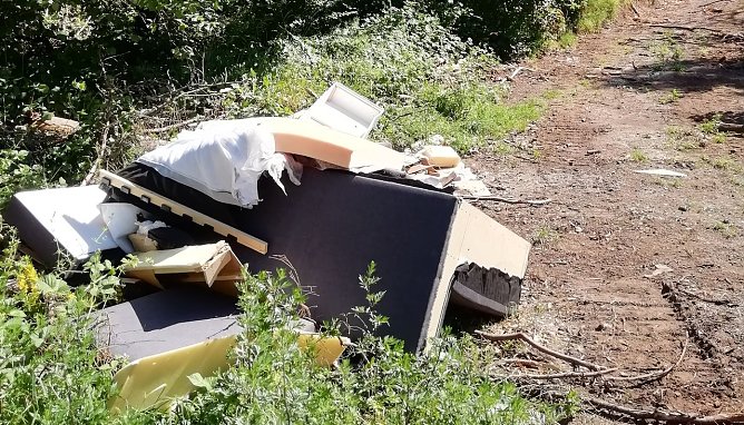 M&uuml;ll in der Natur (Foto: W. J&ouml;rgens)