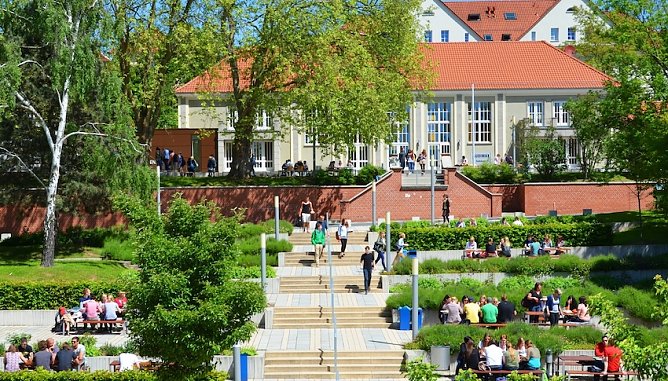 Inkubationsprojekt (Foto: Tina Bergknapp) Inkubationsprojekt (Foto: Tina Bergknapp)