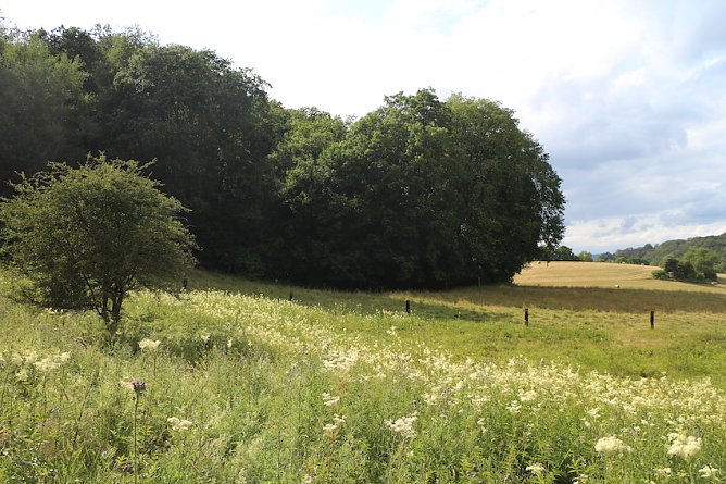 wetter (Foto: Angelo Glashagel) wetter (Foto: Angelo Glashagel)