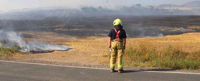 Gro&szlig;brand zwischen Ellrich und Werna (Foto: Jan Heerlein)