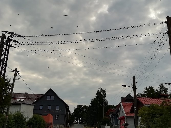 wetter (Foto: Wolfgang Jörgens ) wetter (Foto: Wolfgang Jörgens )