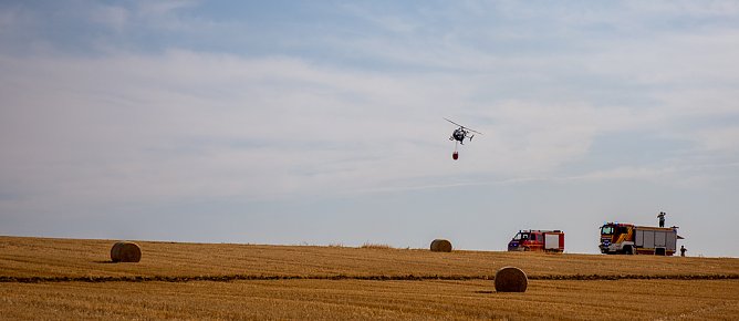 Einsatzkr&auml;fte bek&auml;mpfen den Feldbrand bei Ellrich (Foto: Adrian M&uuml;ller)