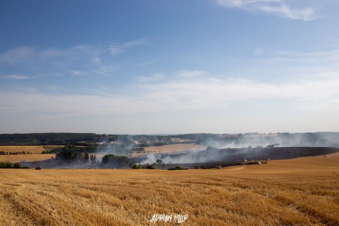 Fl&auml;chenbrand bei Ellrich (Foto: Adrian M&uuml;ller)
