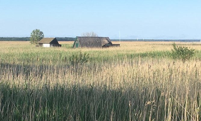 wetter (Foto: oas) wetter (Foto: oas)