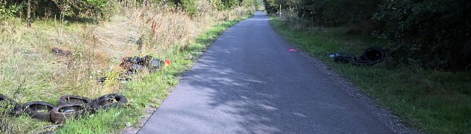 Einfach mal entsorgt (Foto: nnz)