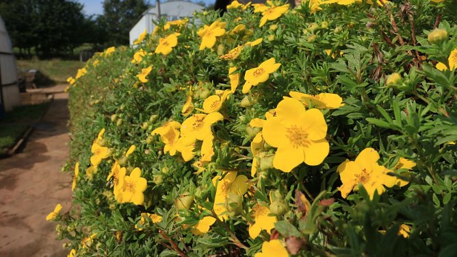 Wetterbild (Foto: Angelo Glashagel)