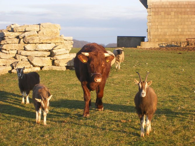 Die Vielfalt der Natur zeigen (Foto: privat)