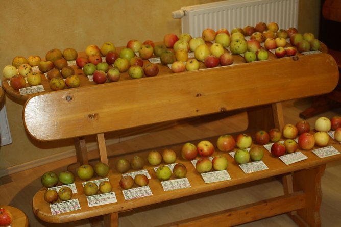 S&uuml;dharzer Obsttage (Foto: Biosph&auml;renreservates Karstlandschaft S&uuml;dharz)
