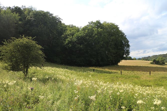 Wetterbild (Foto: Angelo Glashagel) Wetterbild (Foto: Angelo Glashagel)