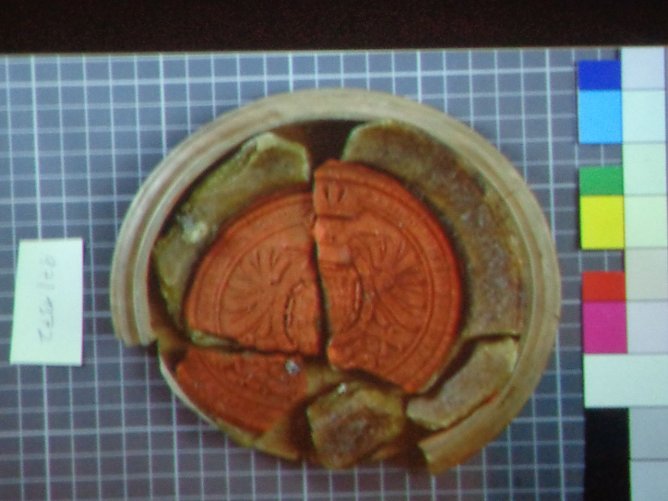 Vortrag zu historischem Sensationsfund (Foto: Hans-Georg Backhaus)