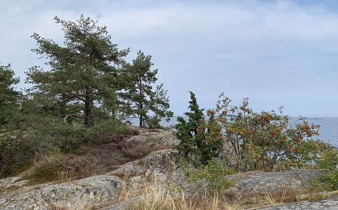 wetter (Foto: oas) wetter (Foto: oas)