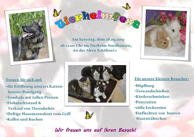 Jahresfest im Nordhäuser Tierheim (Foto: Tierheim Nordhausen) Jahresfest im Nordhäuser Tierheim (Foto: Tierheim Nordhausen)