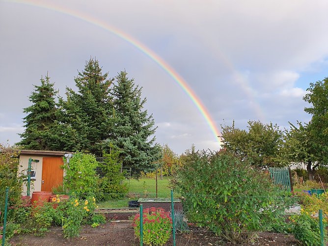 Herbststimmung (Foto: Dirk Schwarze) Herbststimmung (Foto: Dirk Schwarze)