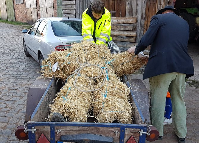 Kirmes (Foto: Mandy Gemmrich-Giere)
