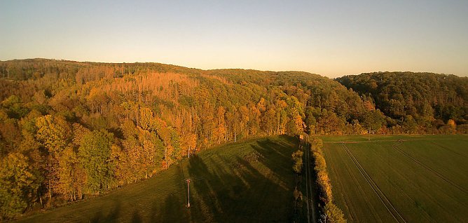 vorharz (Foto: Peter Blei)