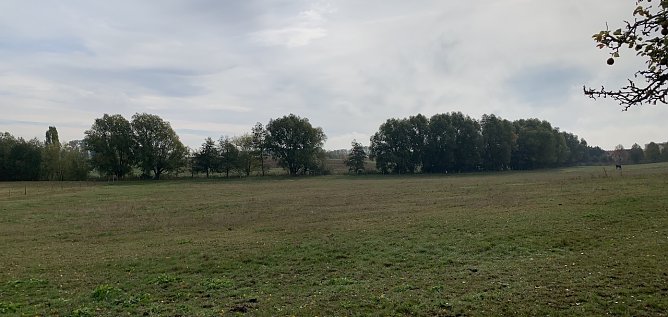 wetter (Foto: oas) wetter (Foto: oas)