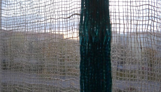 Dichterstätte (Foto: Heidelore Knebel) Dichterstätte (Foto: Heidelore Knebel)