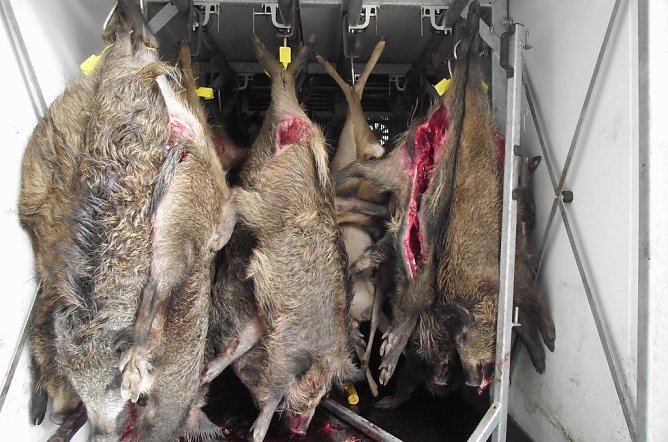 Wildspezialit&auml;ten (Foto: Kurt Frank)