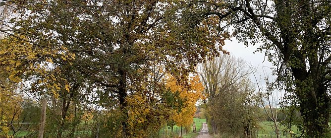 wetter (Foto: oas) wetter (Foto: oas)