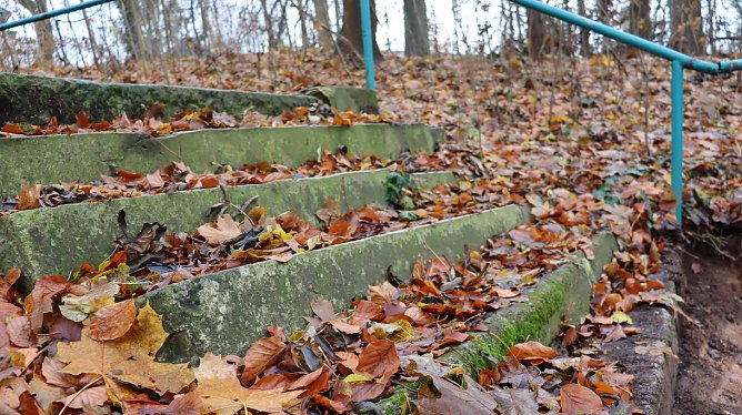 Gehegetreppe (Foto: Stadt Nordhausen)