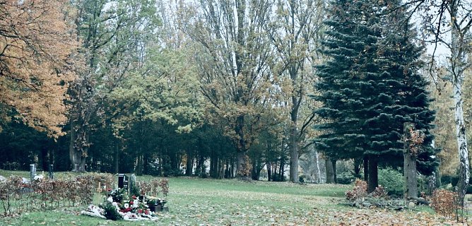 Wieviel Platz braucht der Hauptfriedhof in Zukunft? (Foto: Angelo Glashagel)