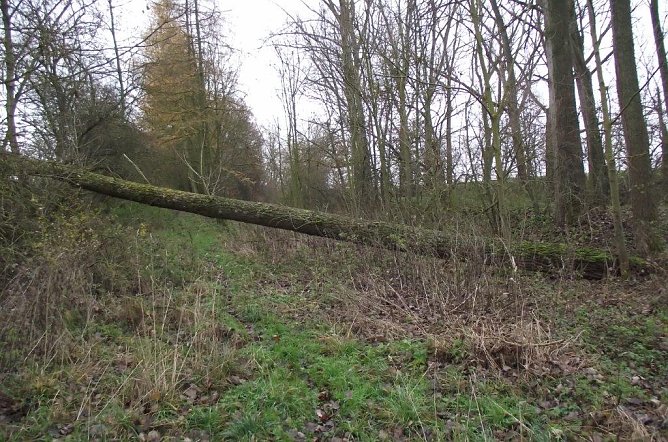 G&uuml;nzerode (Foto: Kurt Frank)