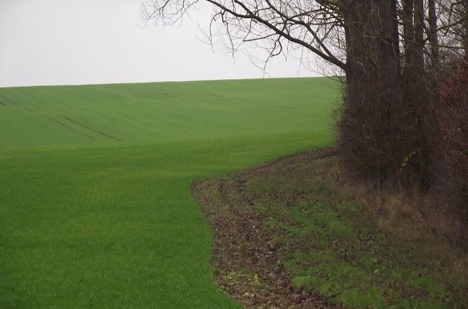 G&uuml;nzerode (Foto: Kurt Frank)