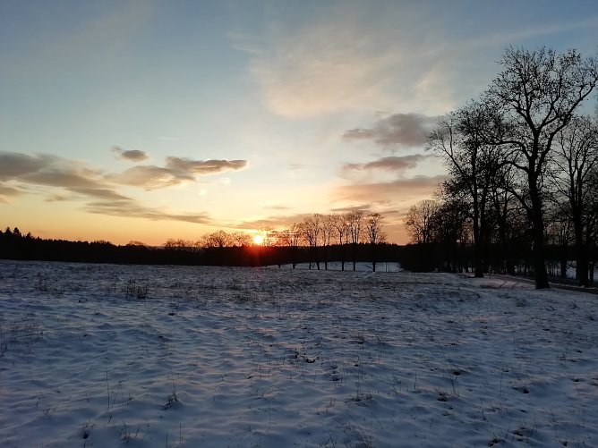 Sonnenaufgang (Foto: W. Jörgens) Sonnenaufgang (Foto: W. Jörgens)