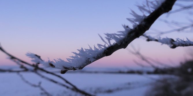 Eiskristalle (Foto: Naturpark Südharz Kyffhäuser) Eiskristalle (Foto: Naturpark Südharz Kyffhäuser)