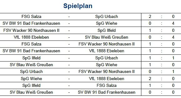 Endstand Kreismeisterschaft im Hallenfußball der Junioren (4) (Foto: NTKFA) Endstand Kreismeisterschaft im Hallenfußball der Junioren (4) (Foto: NTKFA)
