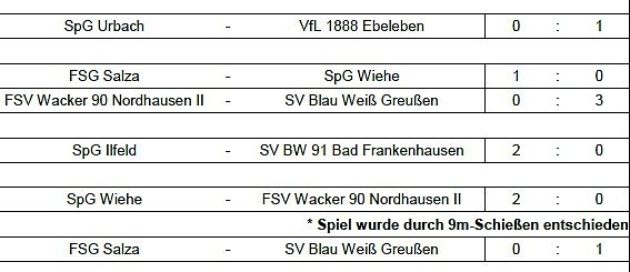 Endstand Kreismeisterschaft im Hallenfußball der Junioren (4) (Foto: NTKFA) Endstand Kreismeisterschaft im Hallenfußball der Junioren (4) (Foto: NTKFA)