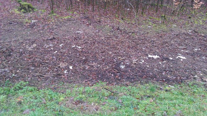 Geschredderte Leitpfosten am Stra&szlig;enrand  (Foto: privat)