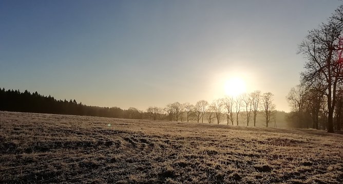 Neujahrsstimmung (Foto: W.Jörgens) Neujahrsstimmung (Foto: W.Jörgens)