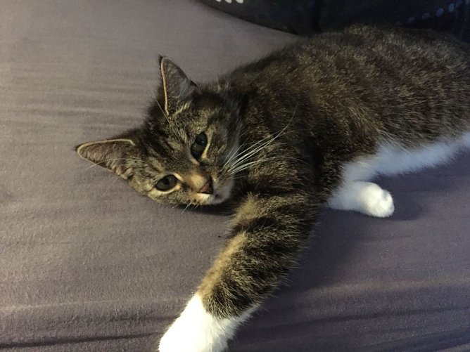 Wo ist Lucy? (Foto: privat) Wo ist Lucy? (Foto: privat)