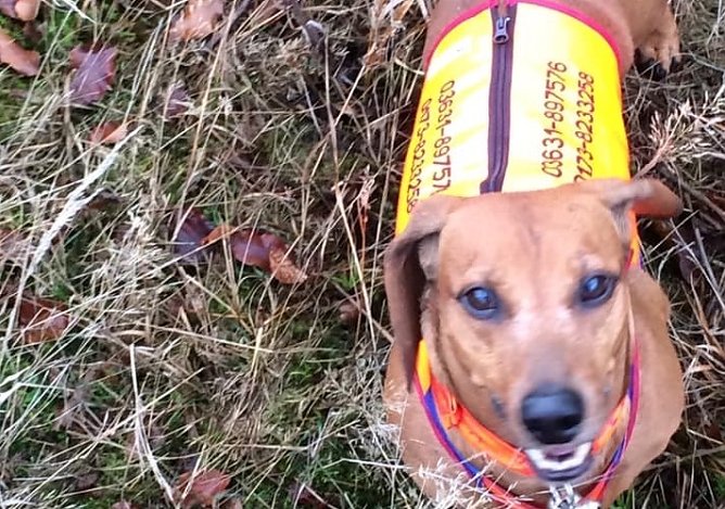 Eddy (Foto: S.Dietzel)