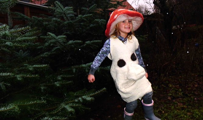 Pilz in Ritter Rost (Foto: U.Tuschy) Pilz in Ritter Rost (Foto: U.Tuschy)