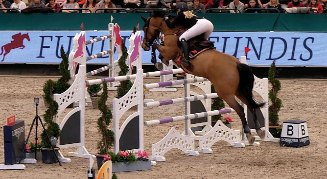 Peter Blei auf der "Partner Pferd" in Leipzig (Foto: Peter Blei)