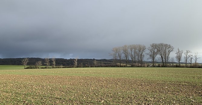 wetter (Foto: oas) wetter (Foto: oas)