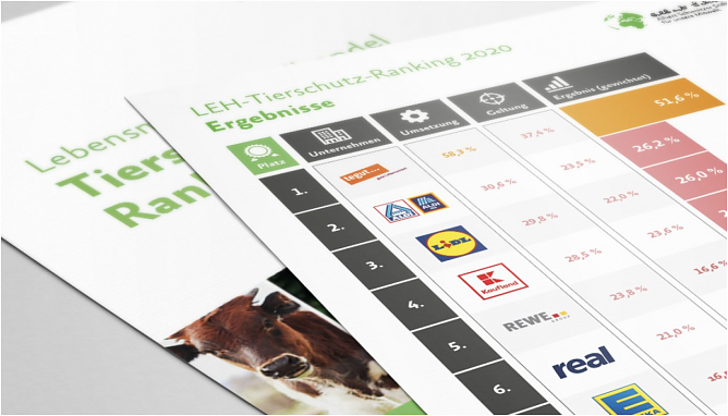 Albert Schweitzer Stiftung für unsere Mitwelt (Foto: Albert Schweizer Stiftung ) Albert Schweitzer Stiftung für unsere Mitwelt (Foto: Albert Schweizer Stiftung )