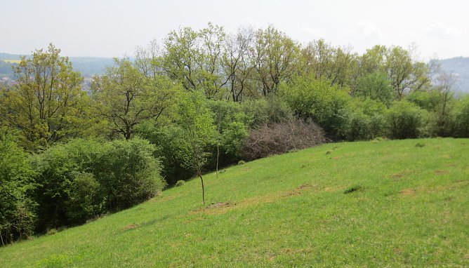 Landschaftspflege (Foto: S.Schulze)