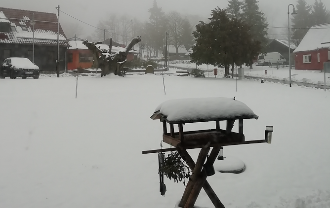 Morgenstund in Sophienhof (Foto: W. J&ouml;rgens)