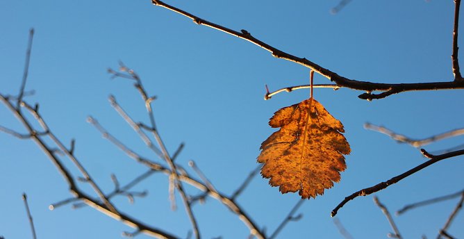 wetter (Foto: AGH) wetter (Foto: AGH)