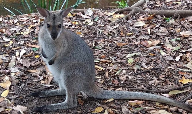 Benefizkonzert (Foto: M.Hart)